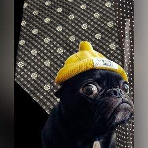 2/$30 Dion Collection Vintage Silk Tie